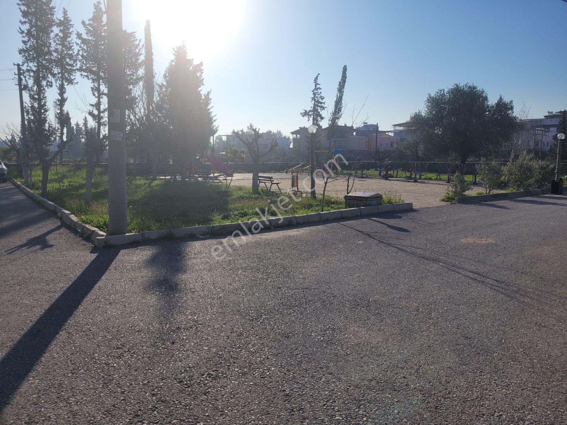 Doğanbey'de Denize 7 Dk Yürüyüş Mesafesinde 3+1 Bakımlı Villa - Görsel 31