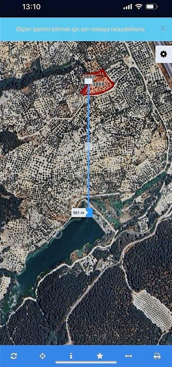 Temenos'tan Kırkağaç Bakır'da 15 Ağaçlıklı Zeytinlik