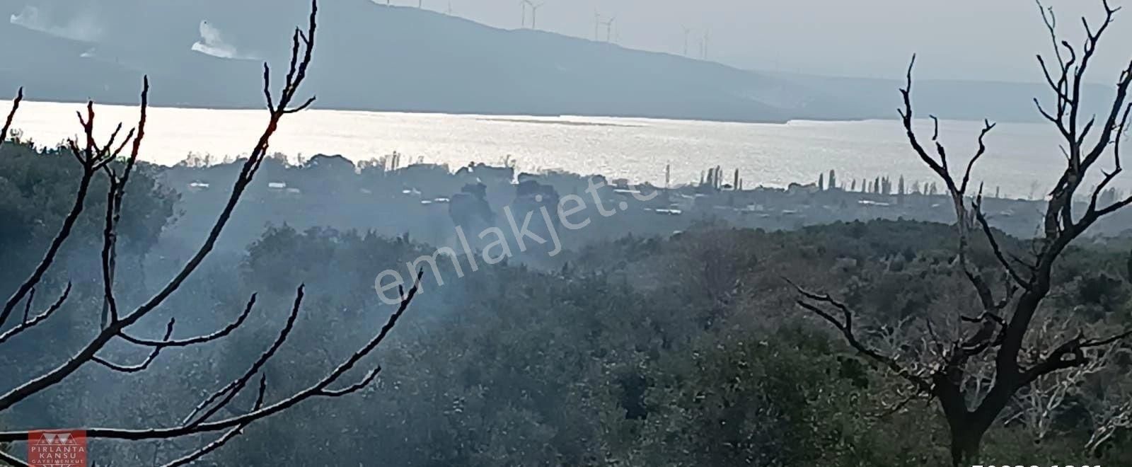 Balıkesir Erdek Hamamlı Mah. 2.750 M2 Satılık Zeytinlik Yatırımlık Deniz Manzaralı