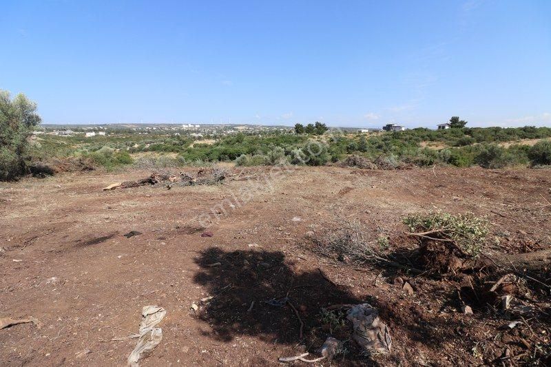 Didim Cem Emlak Tan Zümrüttepe De Satılık 806 M2 Arsa