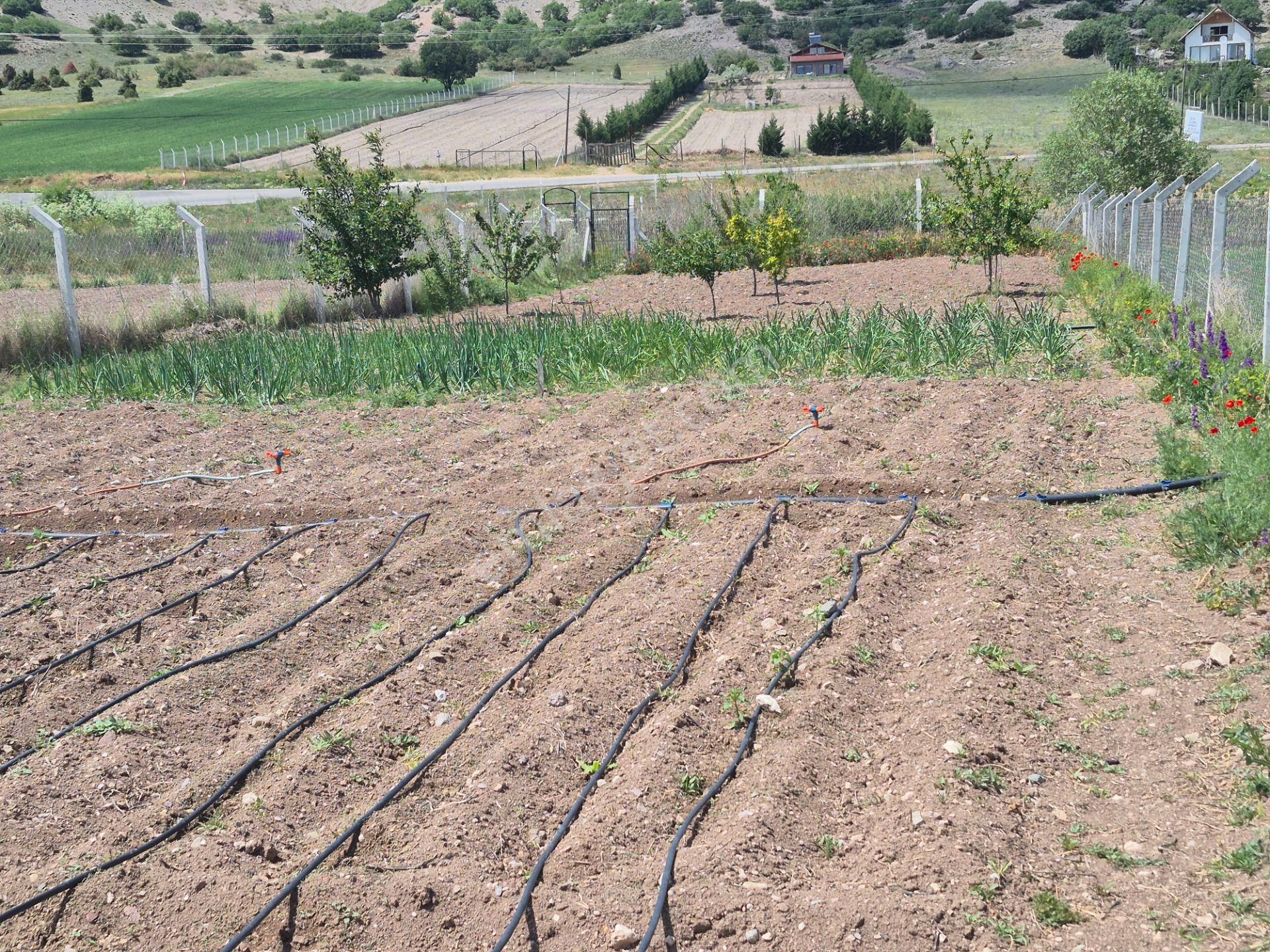 Tepebaşı Kızılinler Mh Müstakil 1.350 M2 Kıymetli Ve Avantajlı Tarla Sho-33