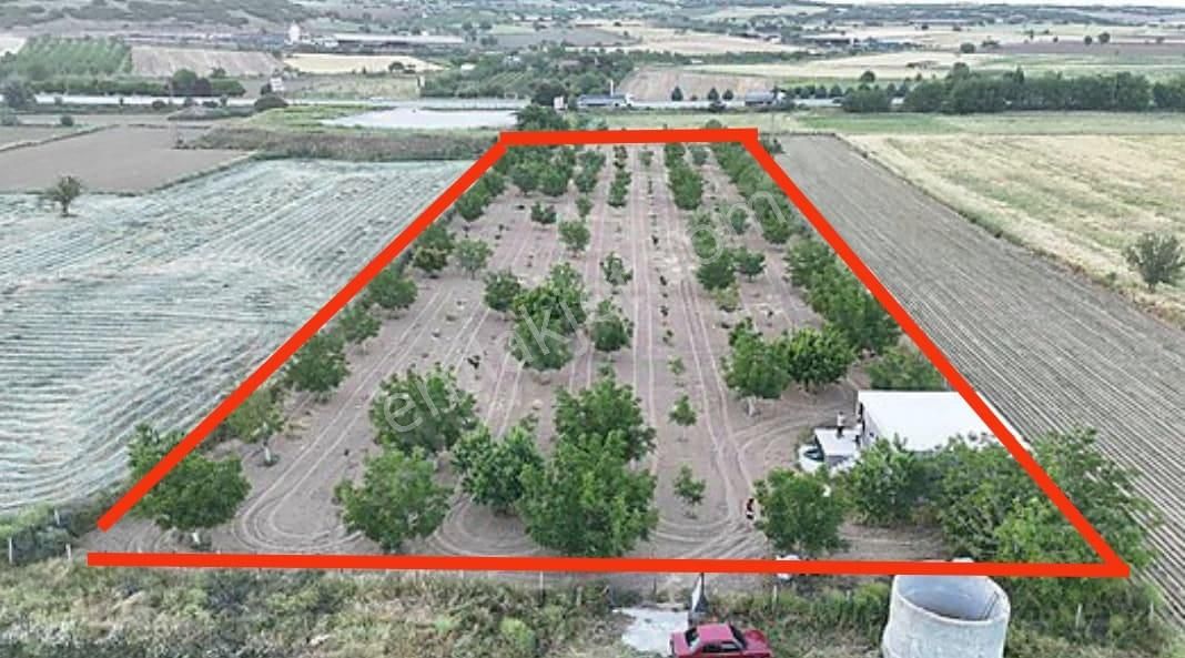 Satılık Kula Anayolda 10 Dönüm Elektrik, Su 2+1 Ev Olan Cevizlik