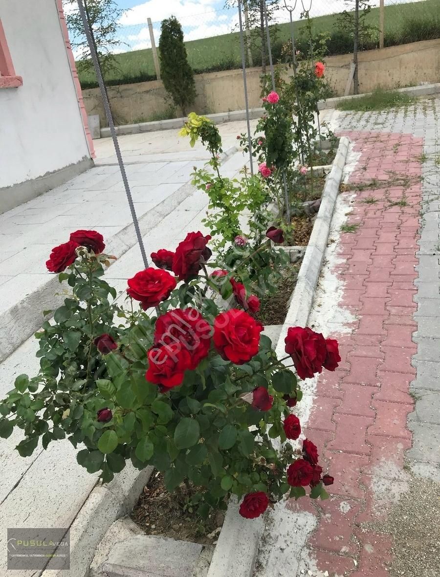 Pusulavega'dan Tapulu 1156m2 Arsa İçinde Betonarme Müstakil Ev - Görsel 8