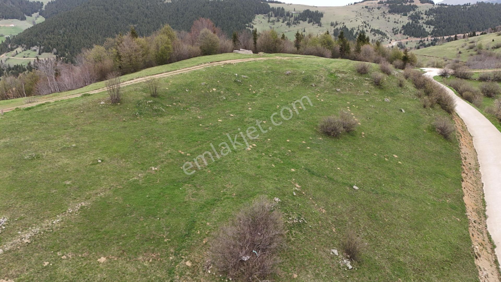 Giresun Kümbet Uzundere’de 2254m² Satılık Arsa