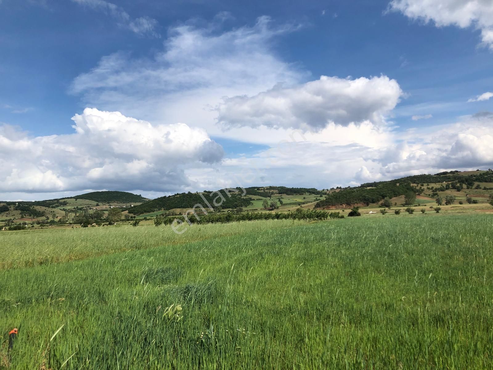 5.185 M2 Bağ Evi Yapmaya Uygun Köye Yakın Arazi