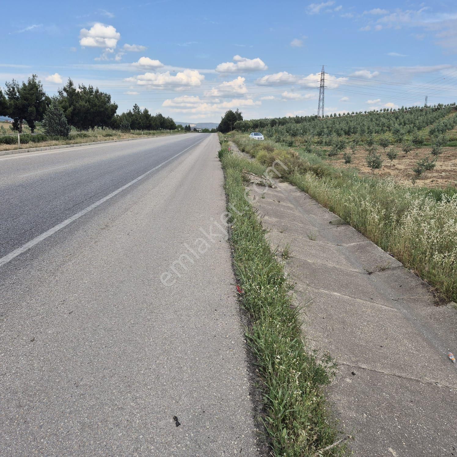Ankara_izmir Yolu Üzeri Zeytinlik