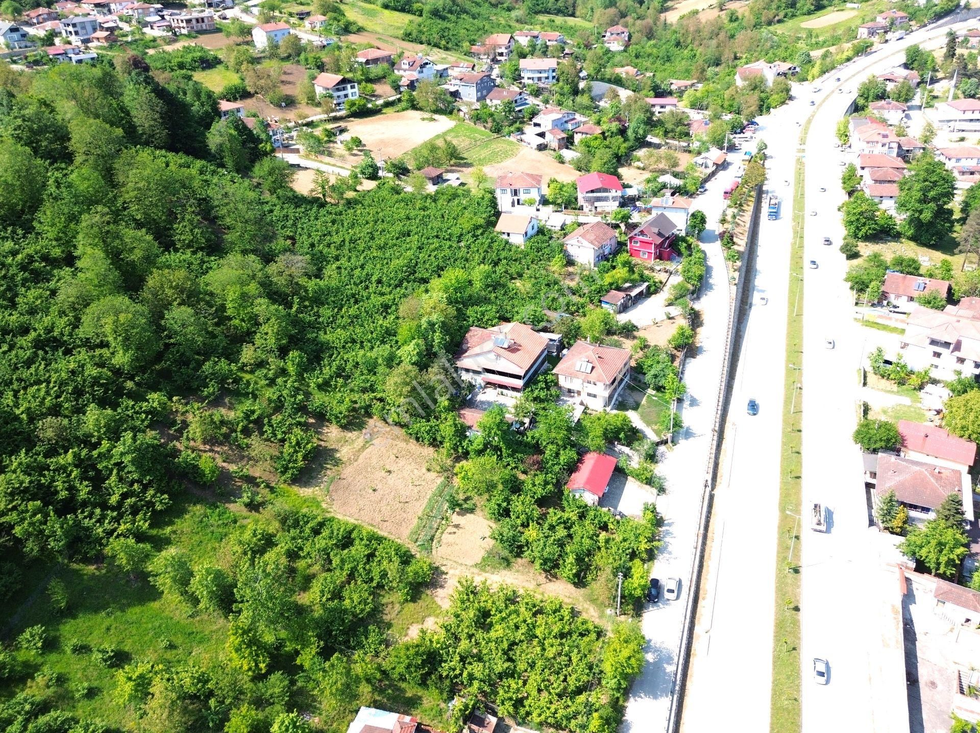 Düzce Şekerpınar'da Ana Yola Komşu 617 M2 Konut İmarlı Arsa !