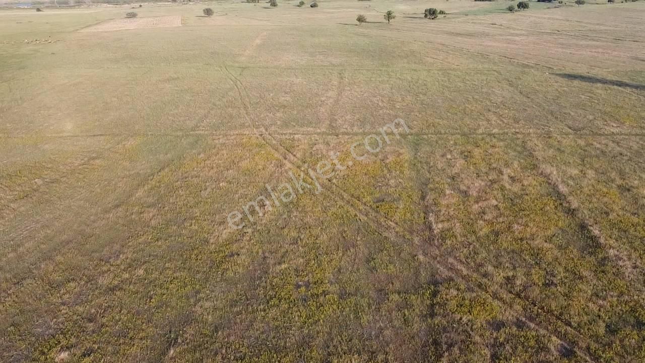 4.675 M2 Resmı Yolu Suyu Olan Tarla