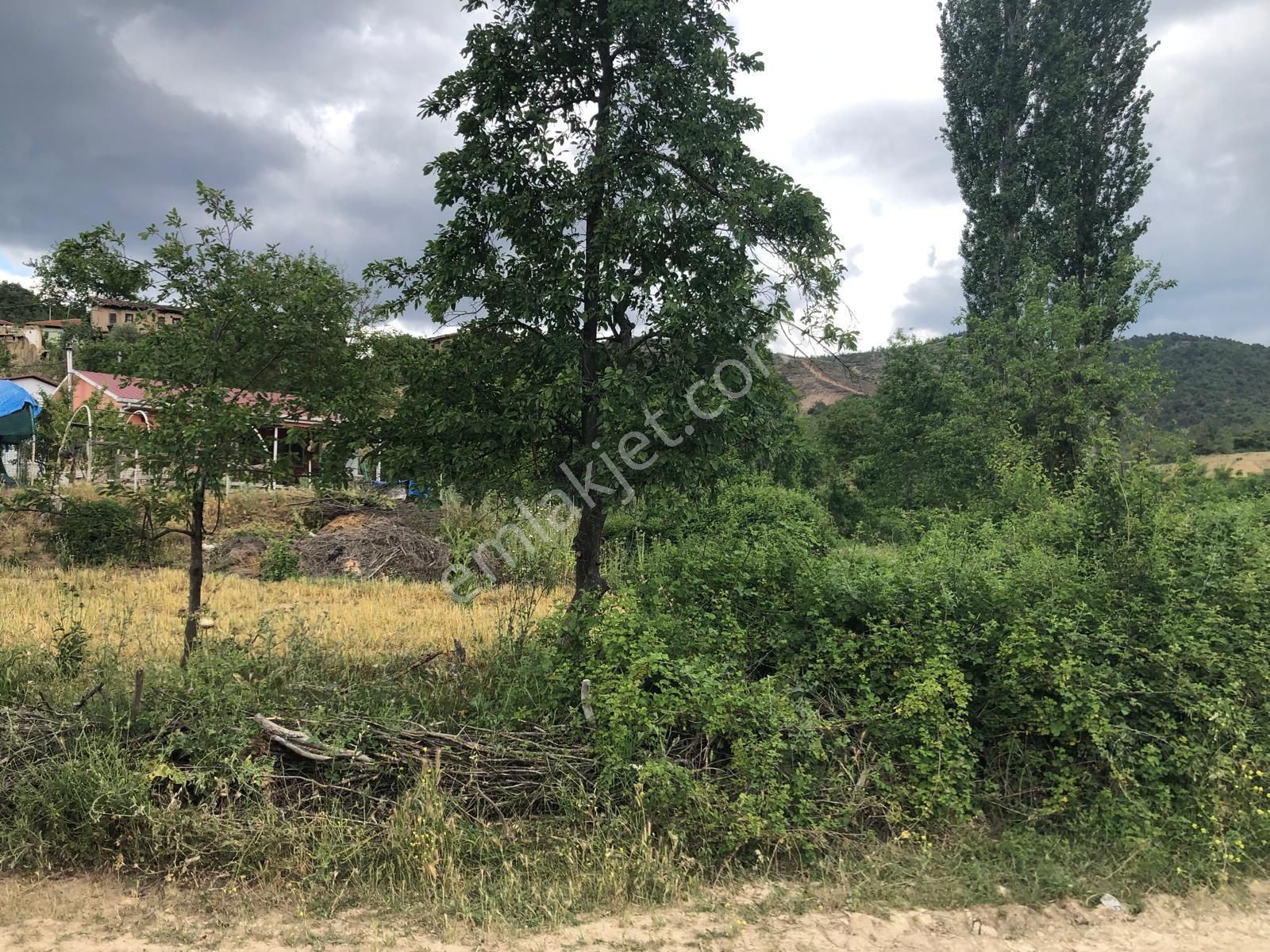 250 M2 Konut İmarlı Arsa