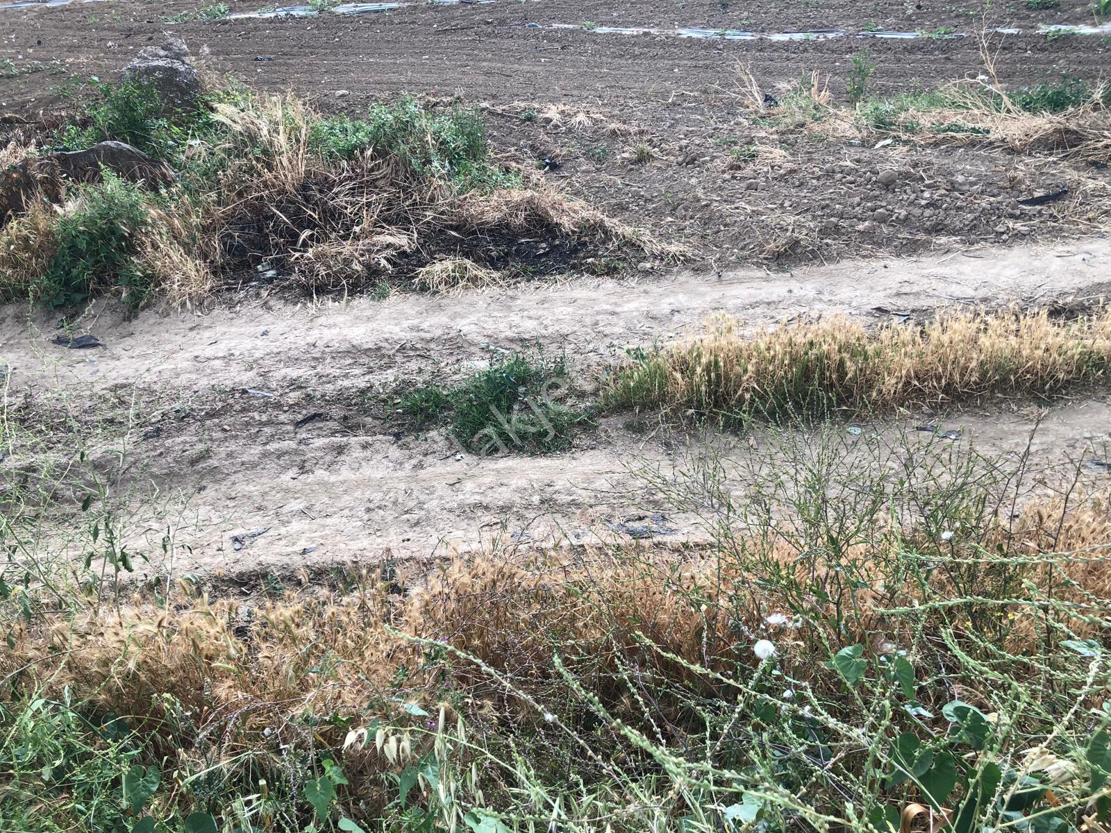 Büyükyenice Köyün'de Su Sıkıntısı Olmayan 600 M2 Satılık Tarla - Görsel 22