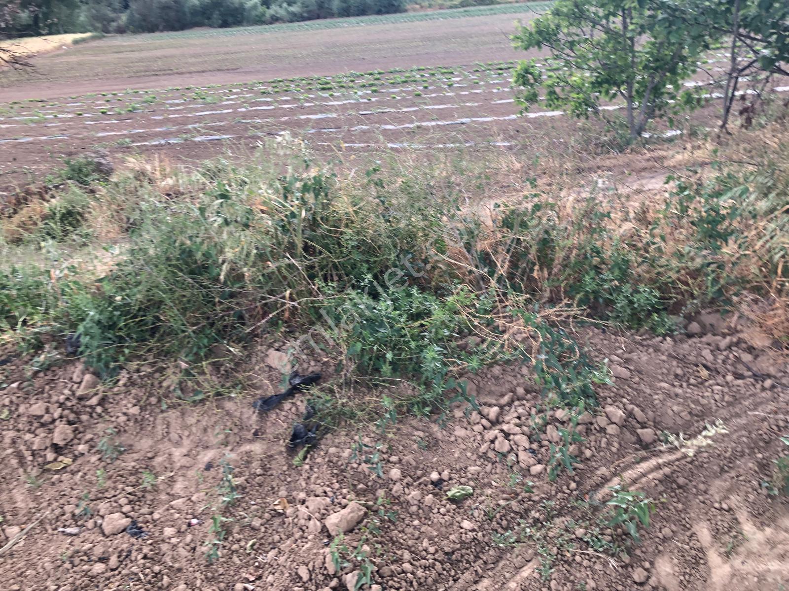 Büyükyenice Köyün'de Su Sıkıntısı Olmayan 600 M2 Satılık Tarla - Görsel 19