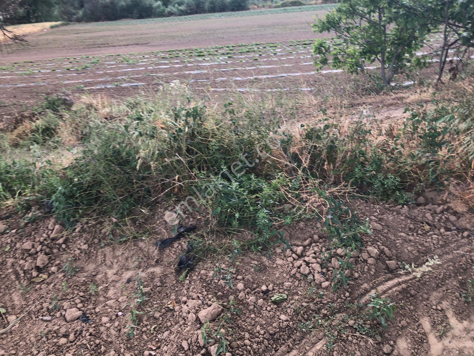 Büyükyenice Köyün'de Su Sıkıntısı Olmayan 600 M2 Satılık Tarla - Görsel 18