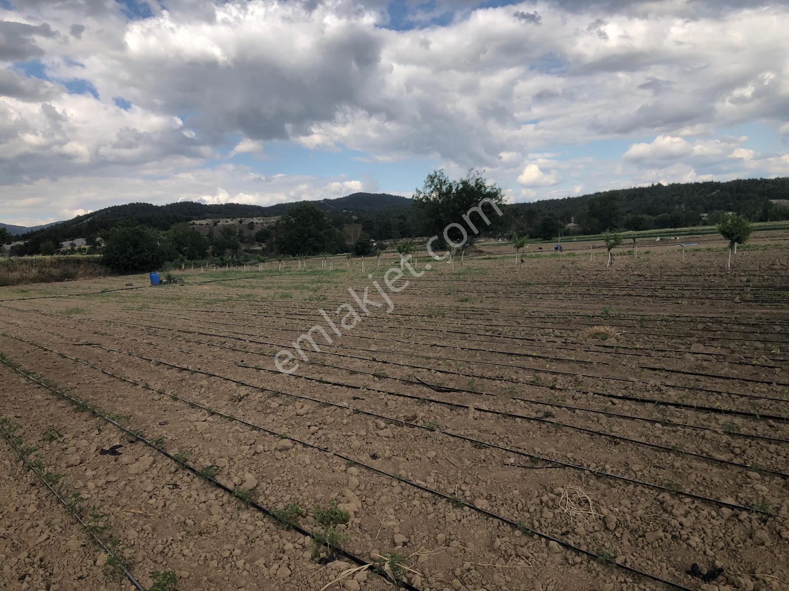 Büyükyenice Köyün'de Su Sıkıntısı Olmayan 600 M2 Satılık Tarla - Görsel 8