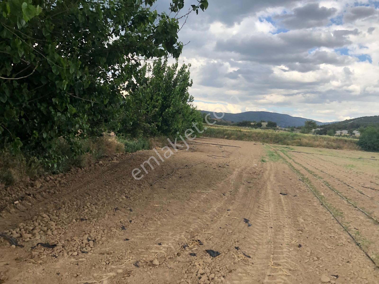Büyükyenice Köyün'de Su Sıkıntısı Olmayan 600 M2 Satılık Tarla - Görsel 14