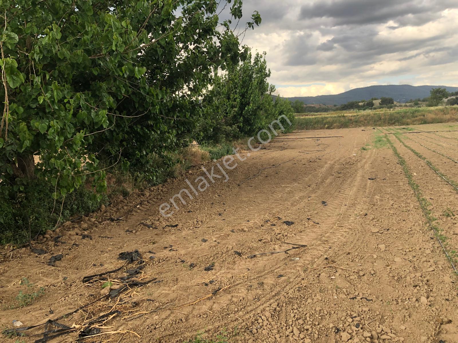 Büyükyenice Köyün'de Su Sıkıntısı Olmayan 600 M2 Satılık Tarla - Görsel 7