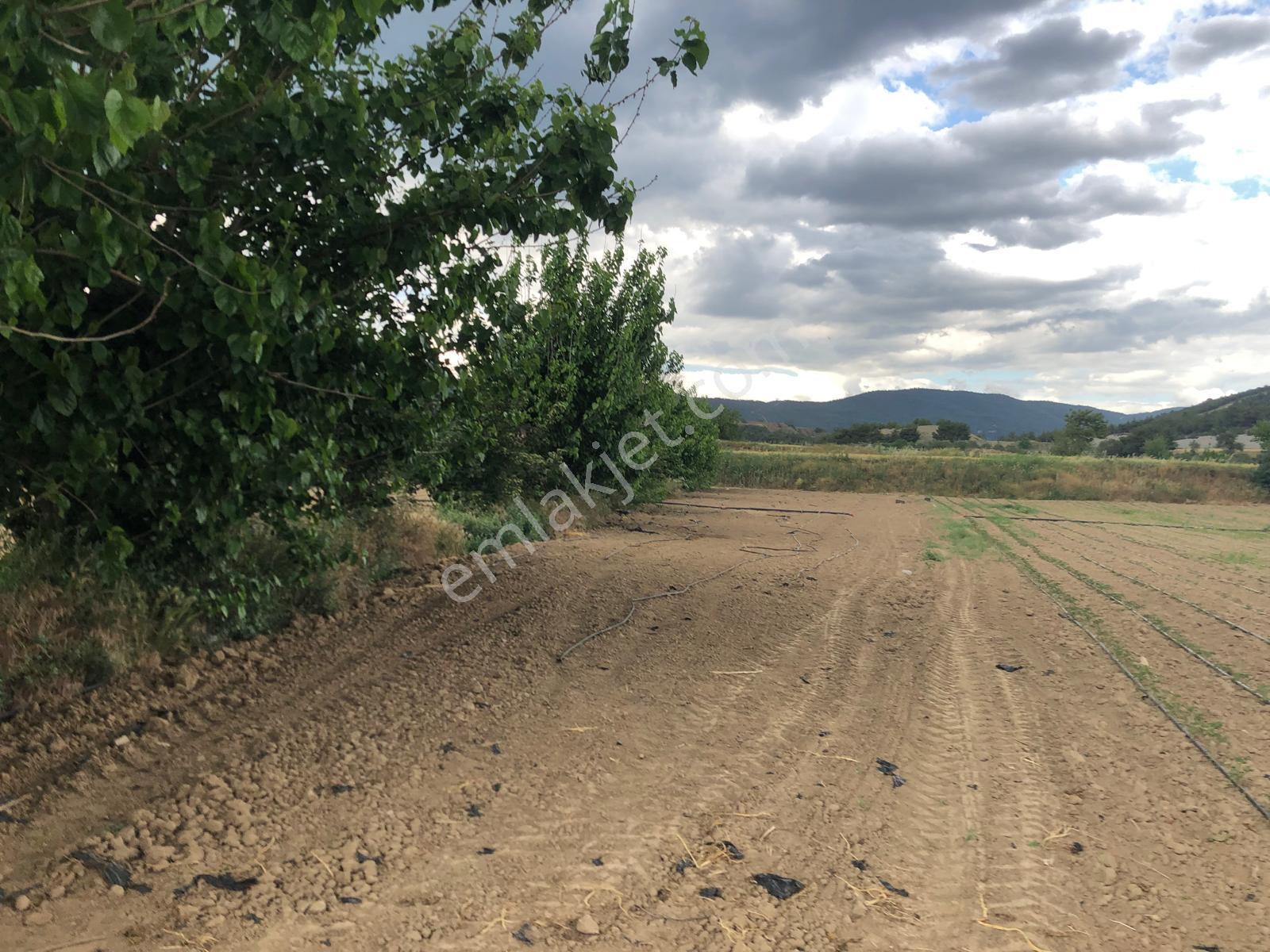 Büyükyenice Köyün'de Su Sıkıntısı Olmayan 600 M2 Satılık Tarla - Görsel 13