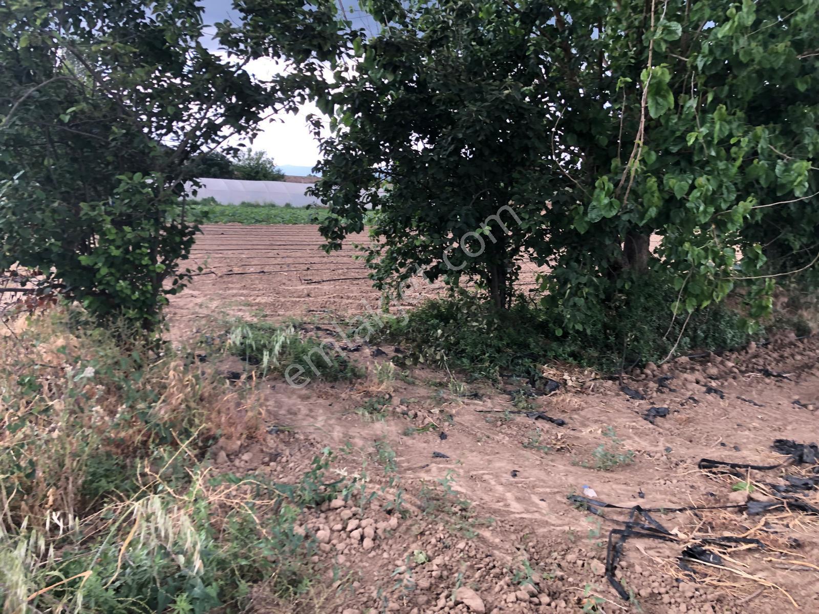Büyükyenice Köyün'de Su Sıkıntısı Olmayan 600 M2 Satılık Tarla - Görsel 12