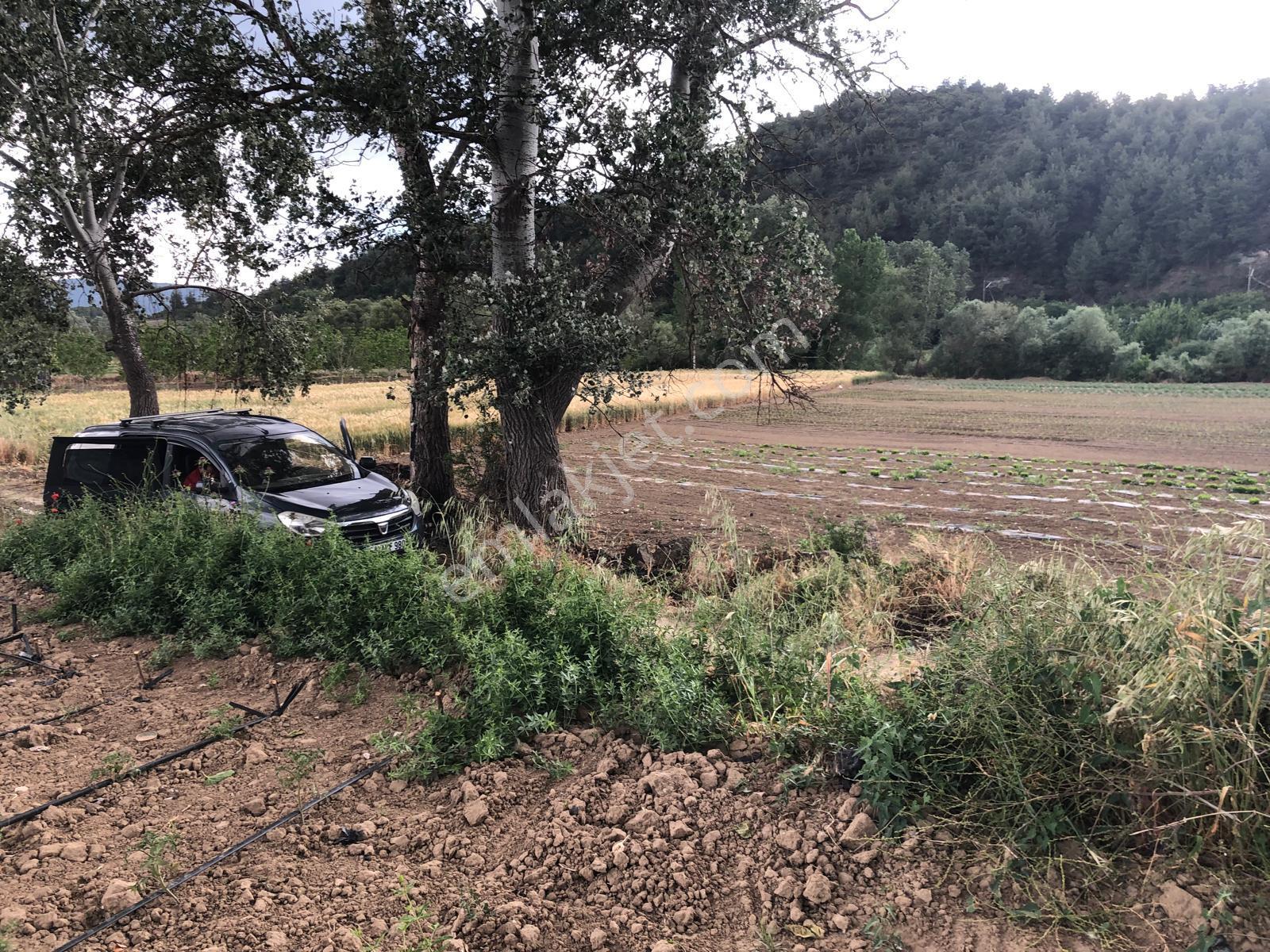 Büyükyenice Köyün'de Su Sıkıntısı Olmayan 600 M2 Satılık Tarla - Görsel 16