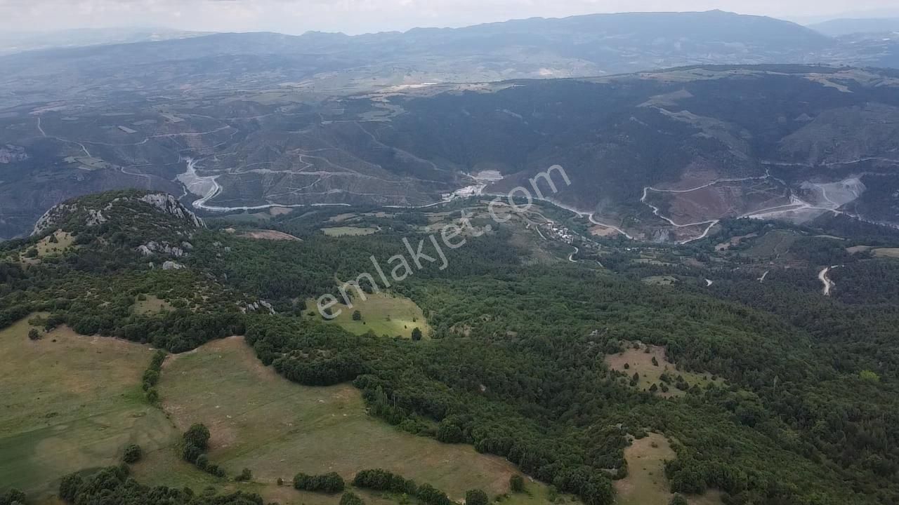 6 Dönum Tarla 400 Bin Kelepir Acil