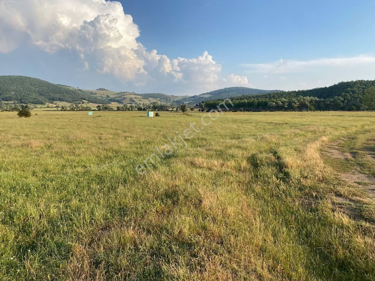 Ovada 4.218 M2 Satılık Düz Arazi