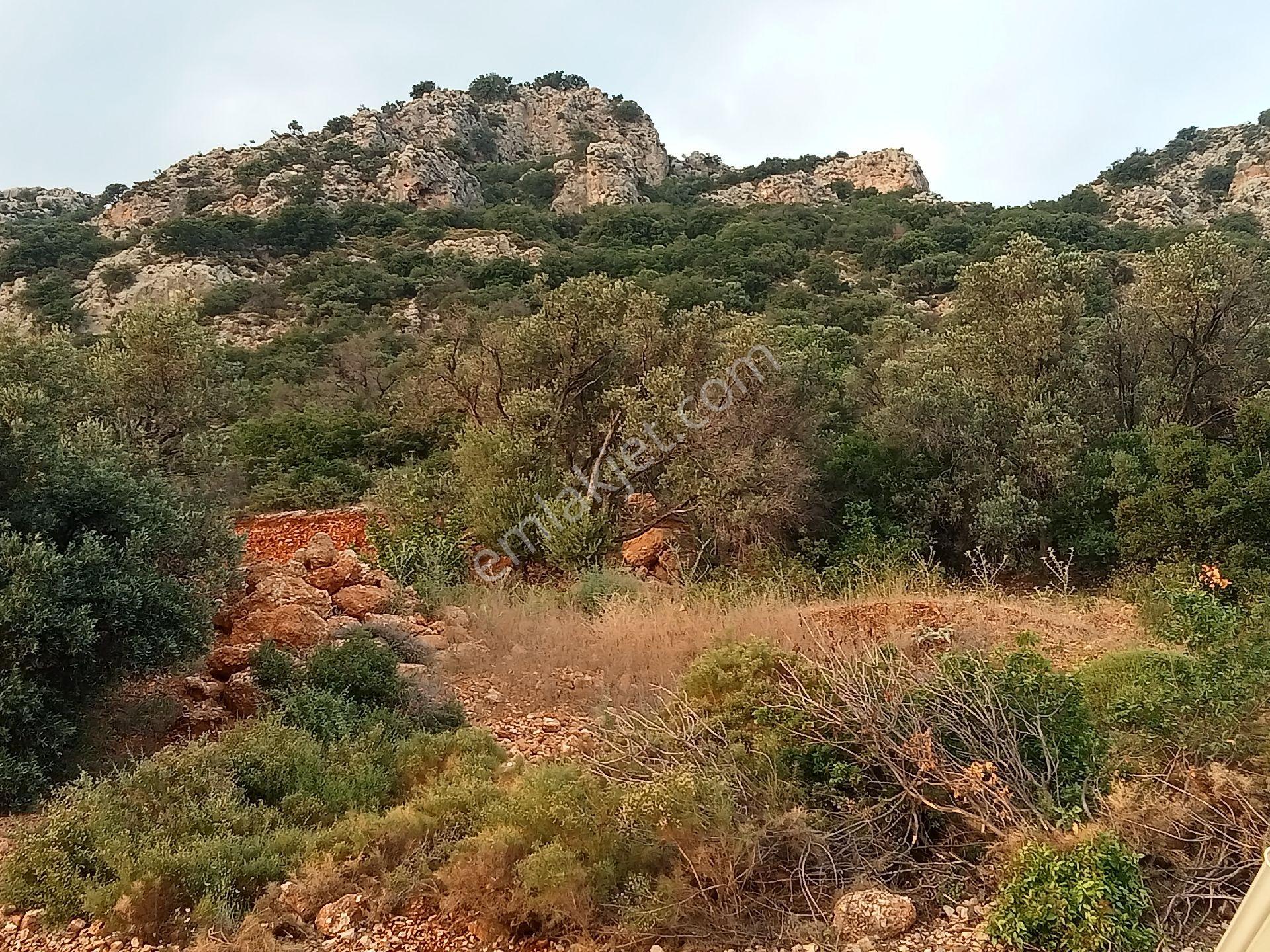 Falcon Dan Kalkan Da Fırsat 815m²arsa - Görsel 16