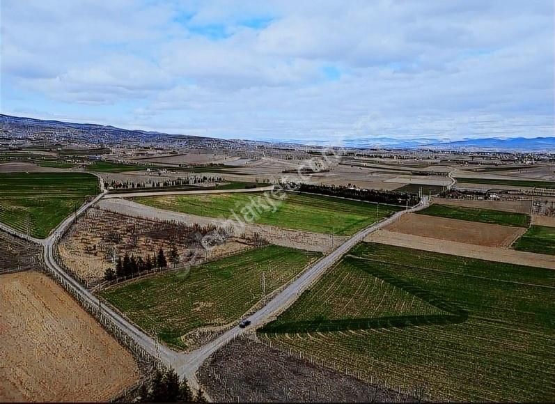 K.kazan Gyo'dan Soğulcak Mah.16.213 M2 Süper Konum Satılık Tarla