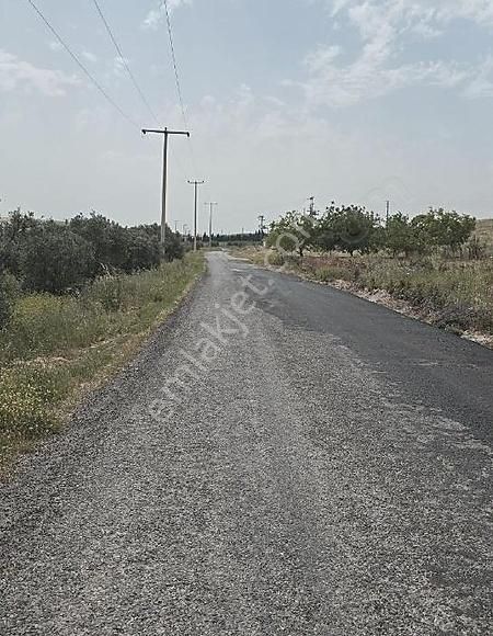Kayalıoğlunada Satılık Yola Sıfır 6.200m Satılık Tarla