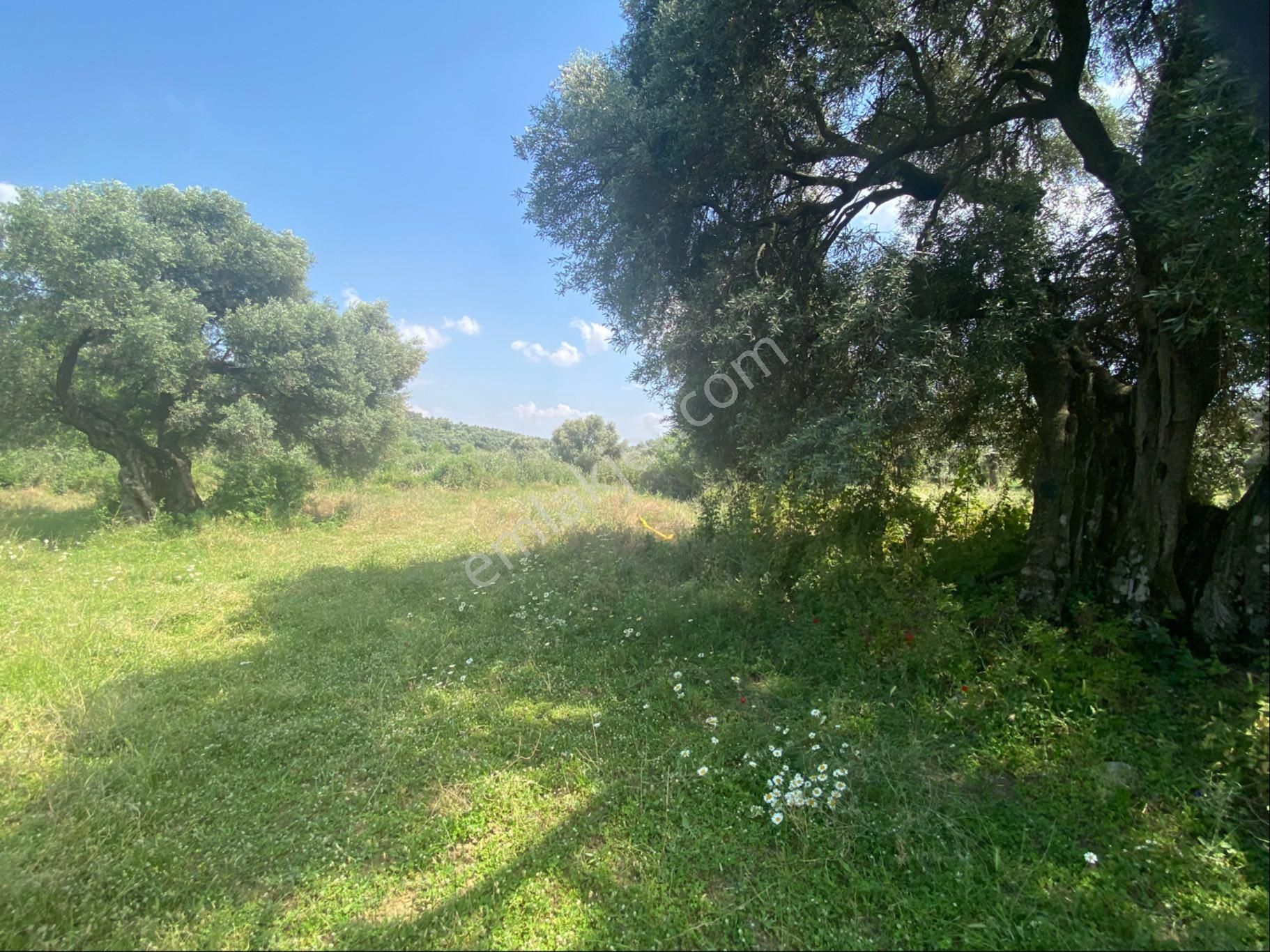 İzmir Ödemişte Satılık Arazi - Görsel 21