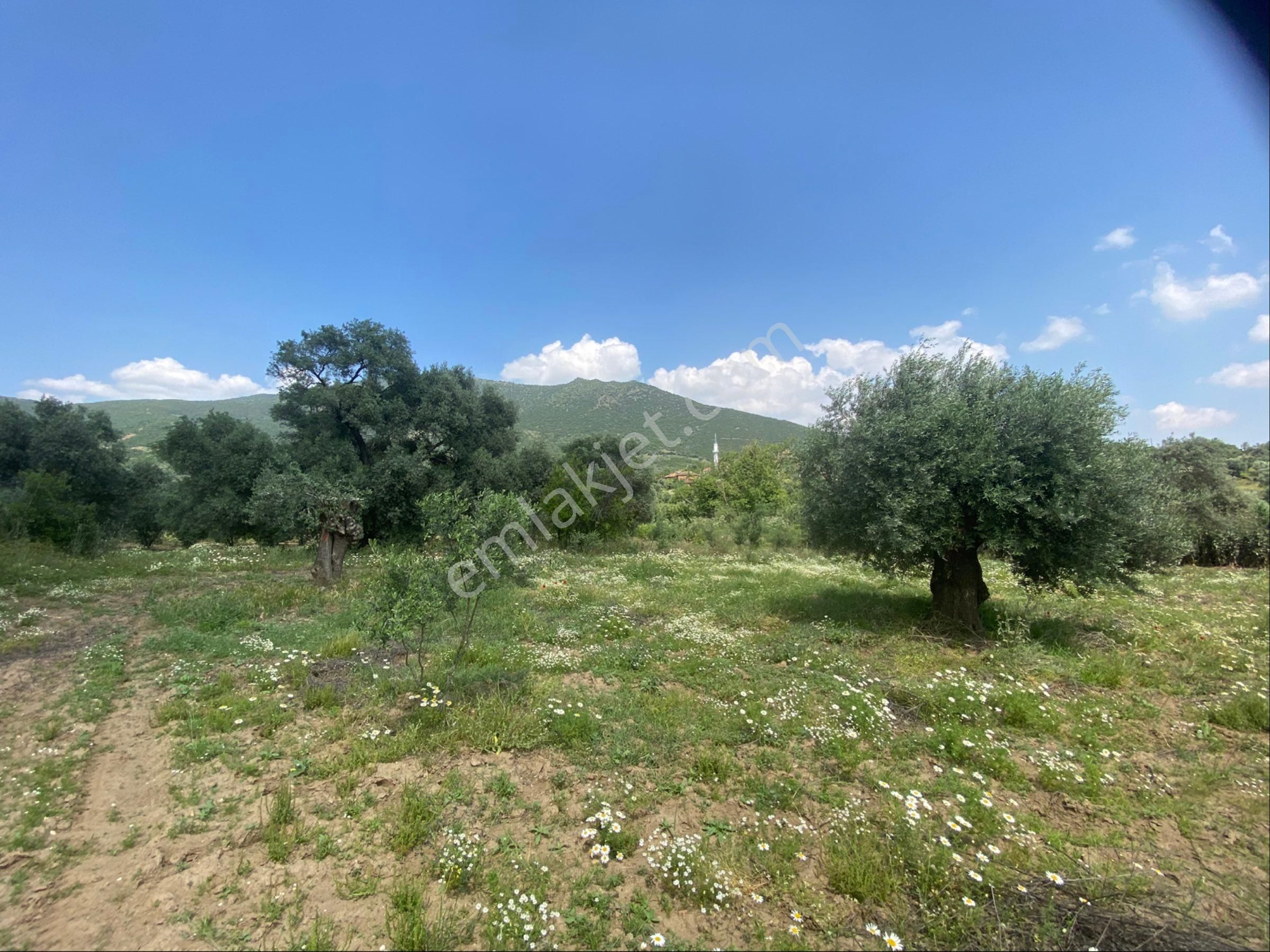İzmir Ödemişte Satılık Arazi - Görsel 11
