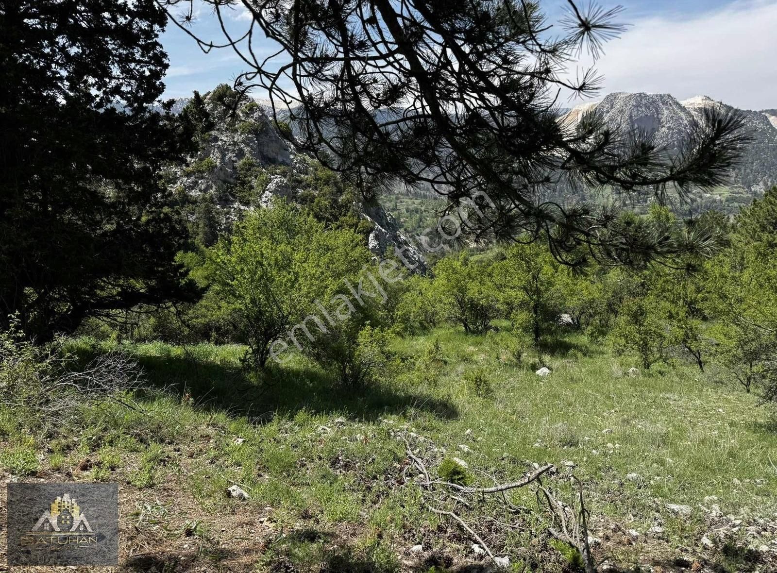 Geyikbayırı Moryer Mevkiin'de 5000 M2 Tarla