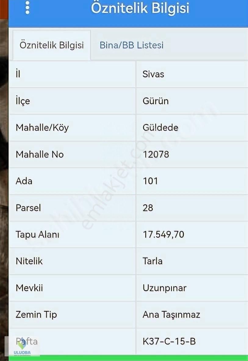 Sivas Gürün Güldede Köyünde Yatırımlık Tarlalar