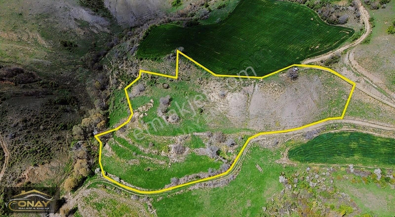 Onay Gayrimenkul'den Suluova Çukurören'de 9631m² Satılık Tarla