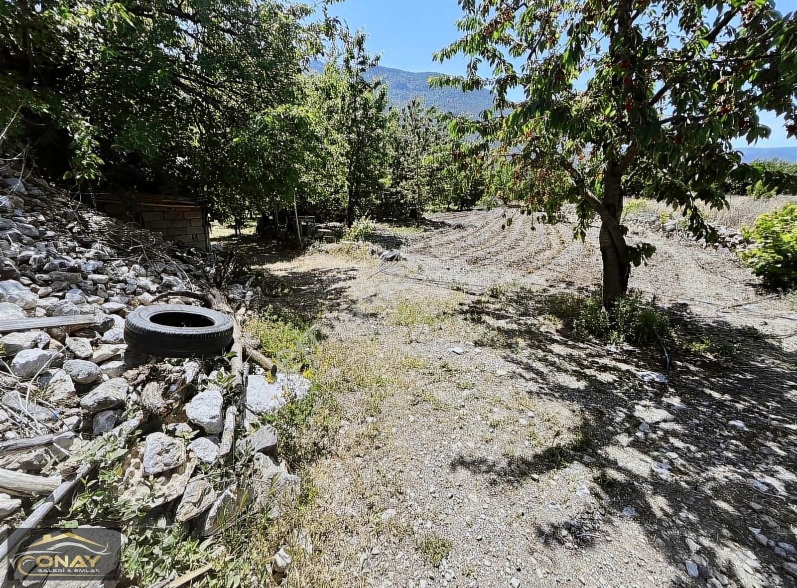 Onay Emlak' Tan Fırsatt Satılık 2040 M2 Kızseki Köyünde