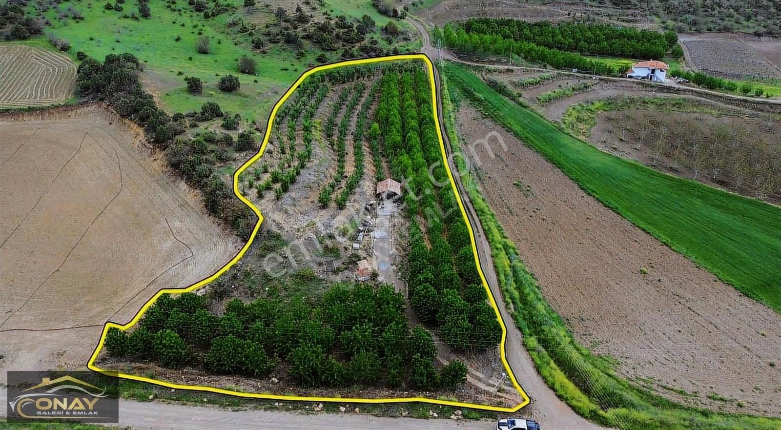 Onay Gayrimenkul' Den Satılık 5.500m2 Bahçe