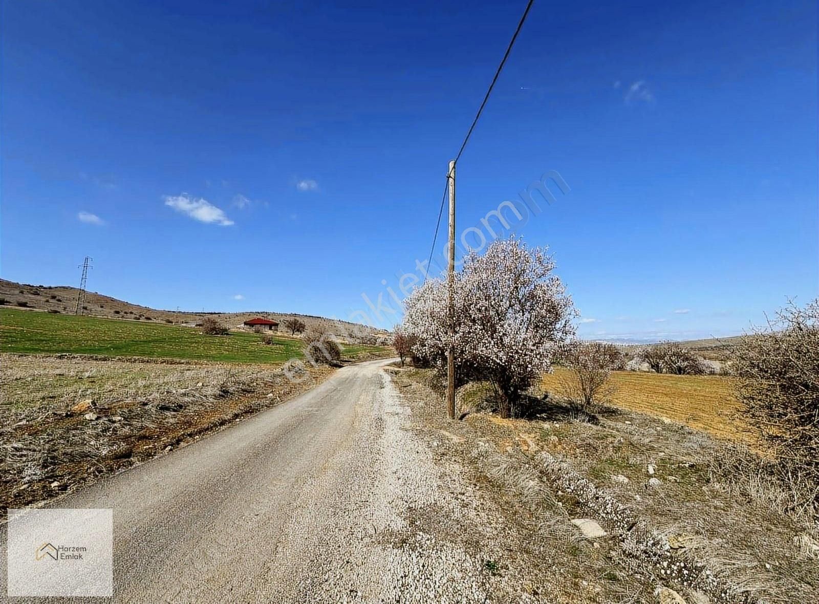 [hg] Ancuz Mevkiinde Satılık 4629 M2 Tarla