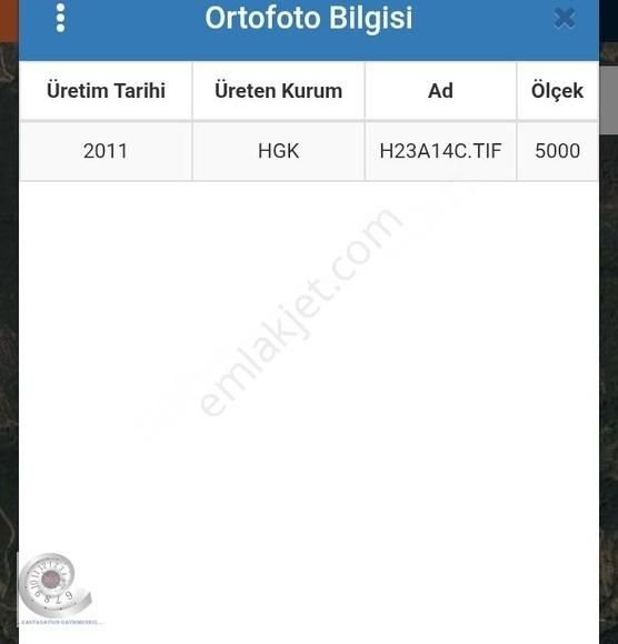 Teklifler Değerlendirlecek.otobana Sıfır, Sulu Zeytinlik Fırsatı