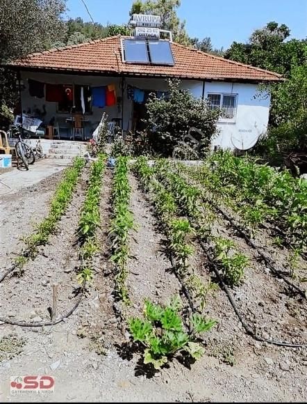 S&d Gayrimenkul Den Ula Sarayyani Nda Müstakil Ev