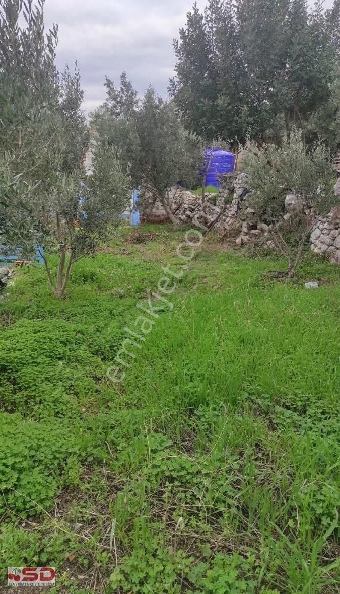 Marmaris Söğütte 609 M2 Arsa İçinde Müstakil Satılık2+1