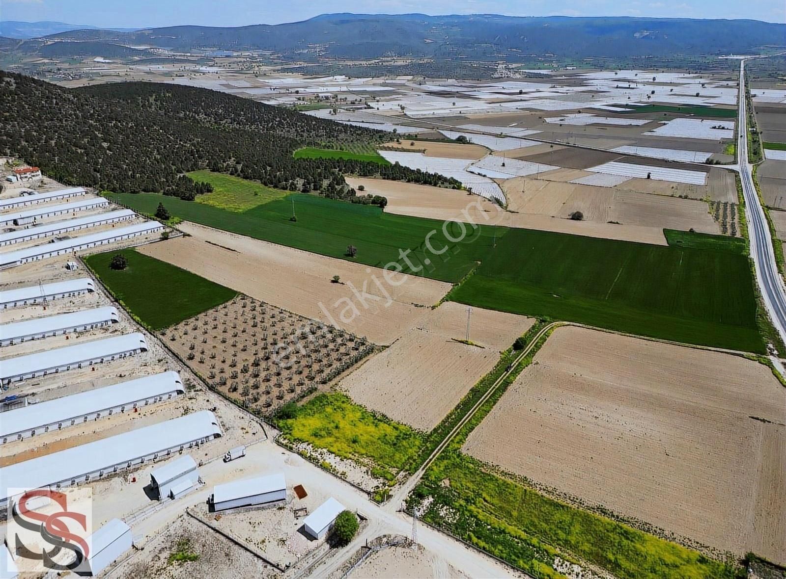 Gölpazarı Küçükyenice Mah. Muhteşem Konumda 3.210 M² Tarla