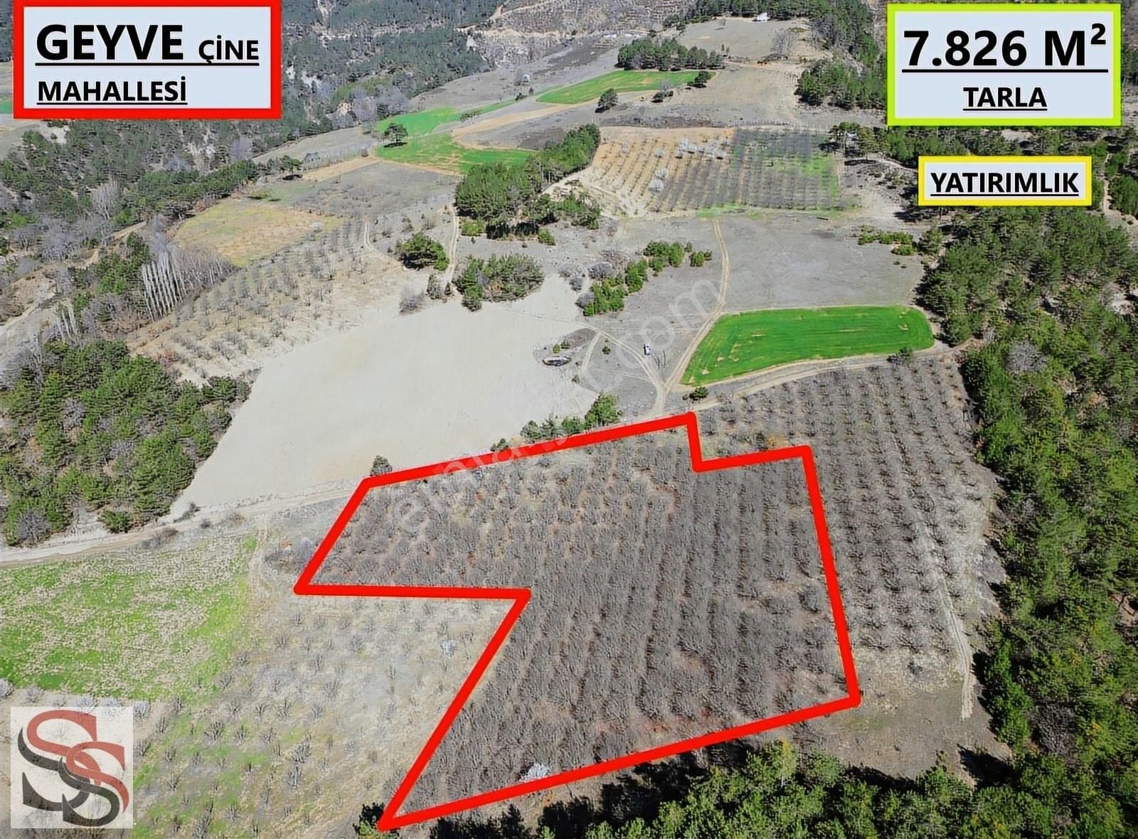 Geyve Çine Mahallesi Muhteşem Konumda 7.826 M² Yatırımlık Tarla
