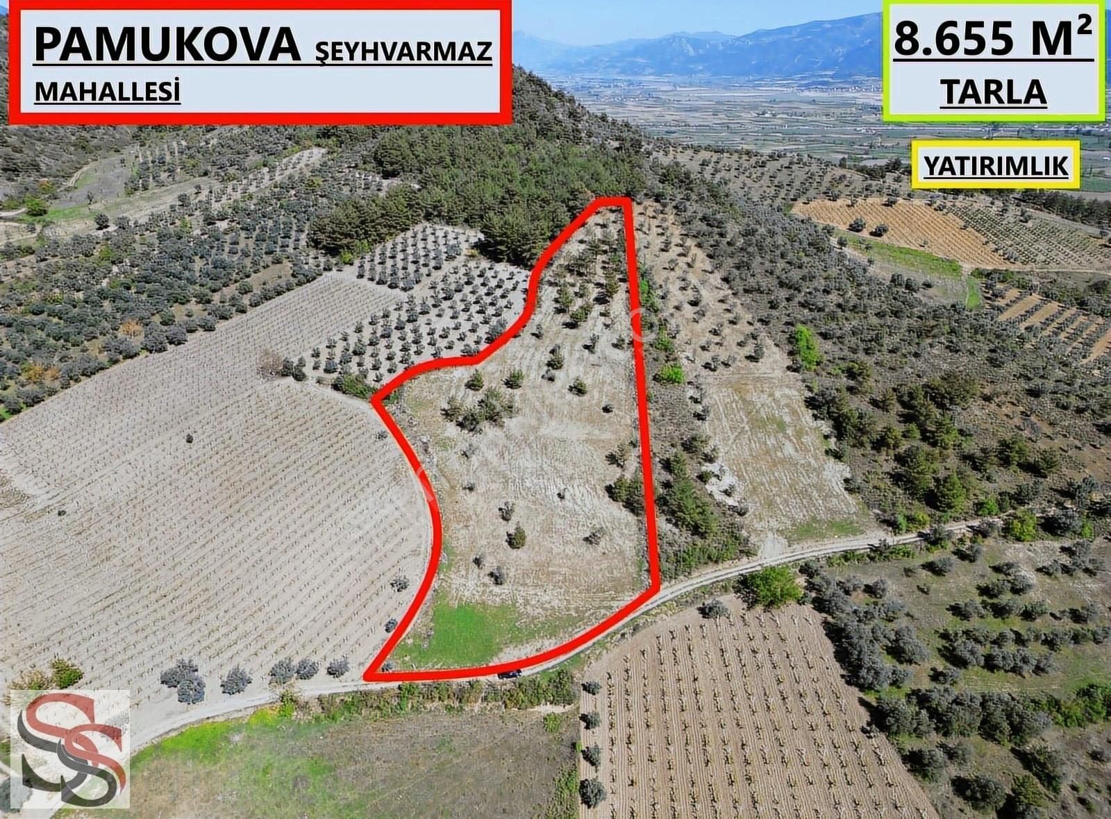 Pamukova Şeyhvarmaz Mahallesi Muhteşem Konumda 8.655 M² Tarla