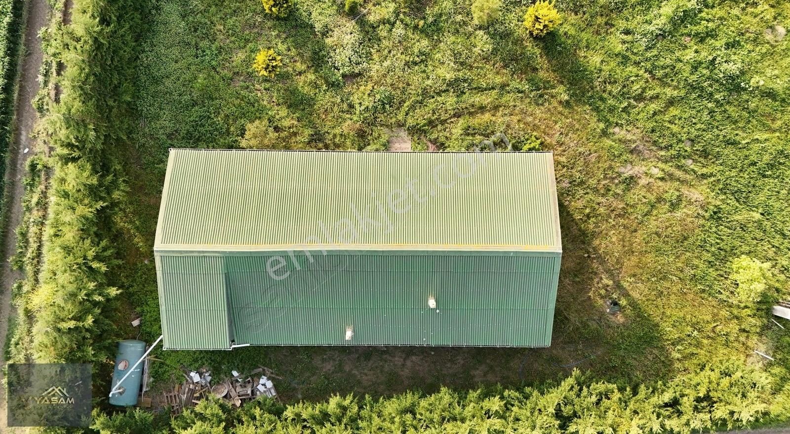 5860m2 Bağevi | Meyve Ve Çam Ağaçları
