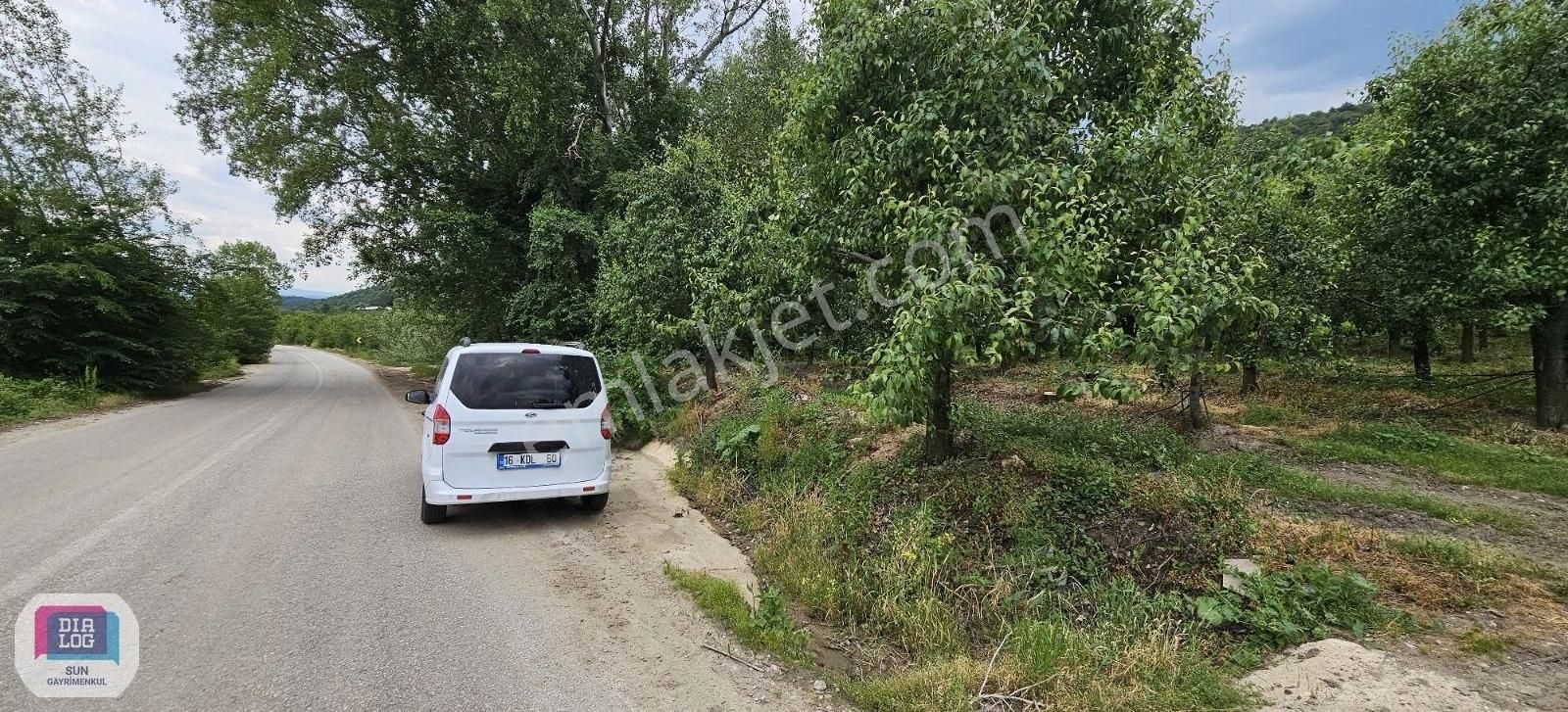 Dialog Sun Satılık İnegöl Edebey'de Yola Cephe 18 Dönüm Tarla