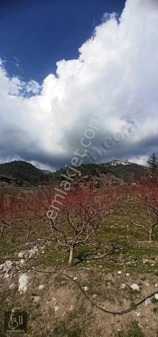 Mezitli Sarılar Kupon Bahçe Kaçmaz
