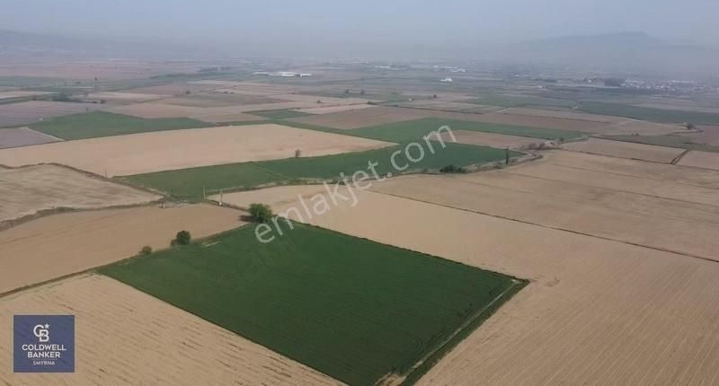 Torbalı Pamukyazında 15 Dönüm Satılık Tarla