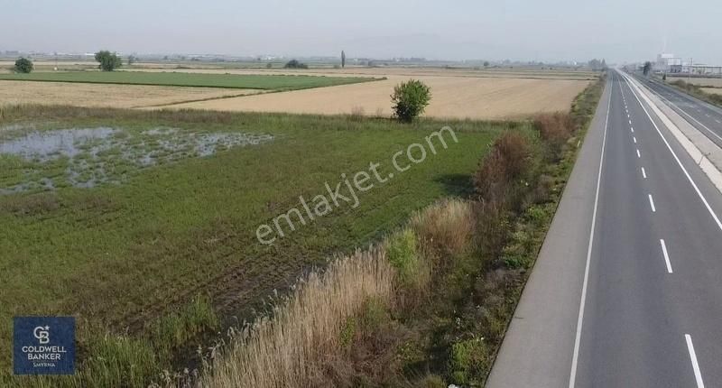 Torbalı Pamukyazında 150 Dönüm Satılık Tarla
