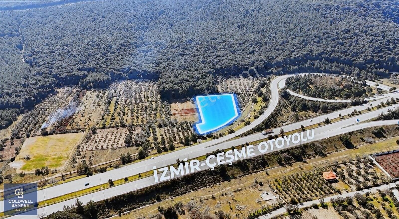 Urla Zeytinlerde 7.503,23 M² Yola Cepheli 120 Ağaçlı Zeytinlik