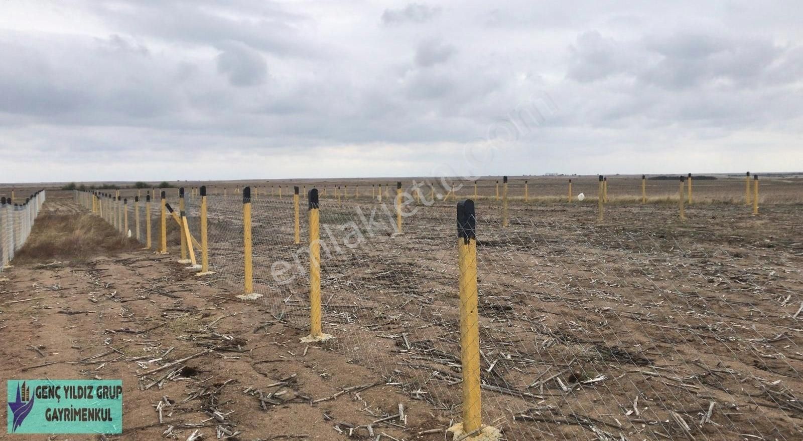 Kapaklı Karlı'da 1025 M2 Tarla