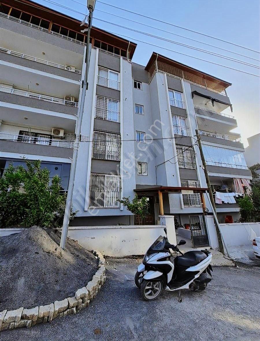 Sarımazı Temiz 3+1arakat