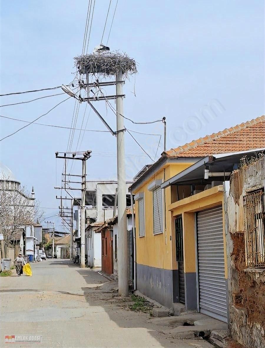Aydın Köşke Bağlı Çiftlik Köyde Satılık Arsa